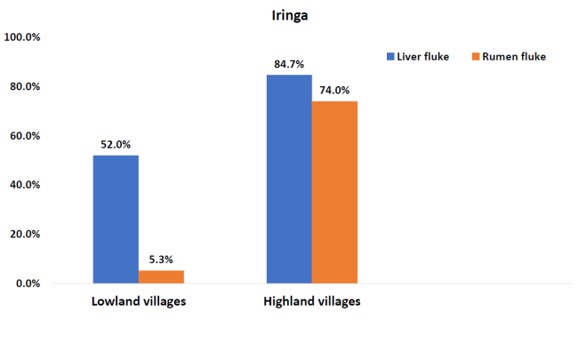 Graph showing prevalence of liver fluke and rumen fluke in highland and lowland villages in Iringa
